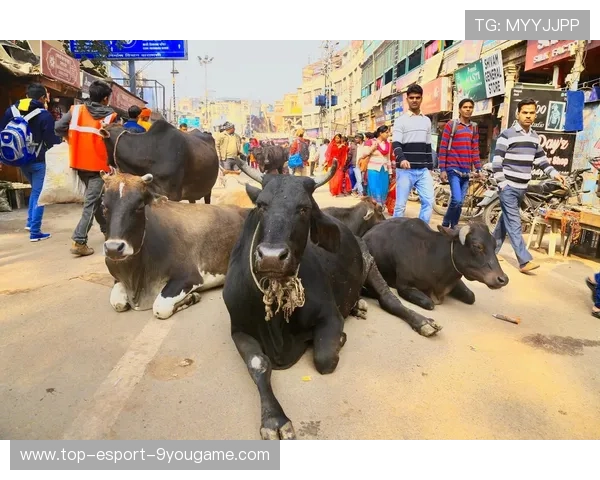 印度击球手状态火热，单局破百创纪录，印度的球