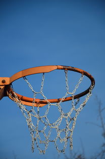 九游游戏-NBA球队球员培养规划设计，nba对球员的要求是什么