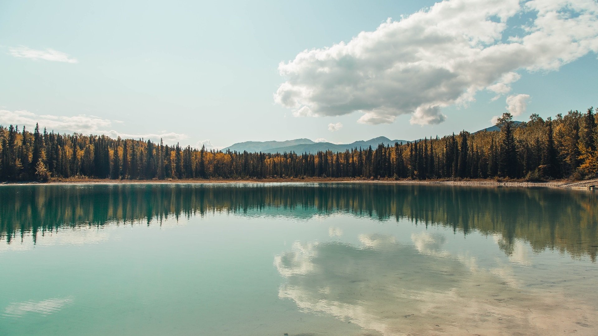 NBA联盟区域发展计划对本地球迷文化的影响,曝nba联盟将扩充2支球队 每队收25亿美元加盟费