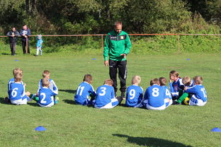 九游手游官网-德甲球队构建战术模拟平台辅助赛中调整，德甲模式